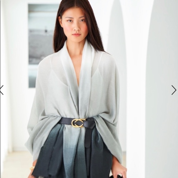 Rachel Zoe Accessories - Cushine ombré scarf